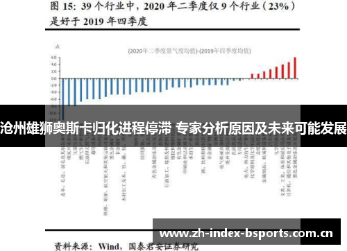 沧州雄狮奥斯卡归化进程停滞 专家分析原因及未来可能发展